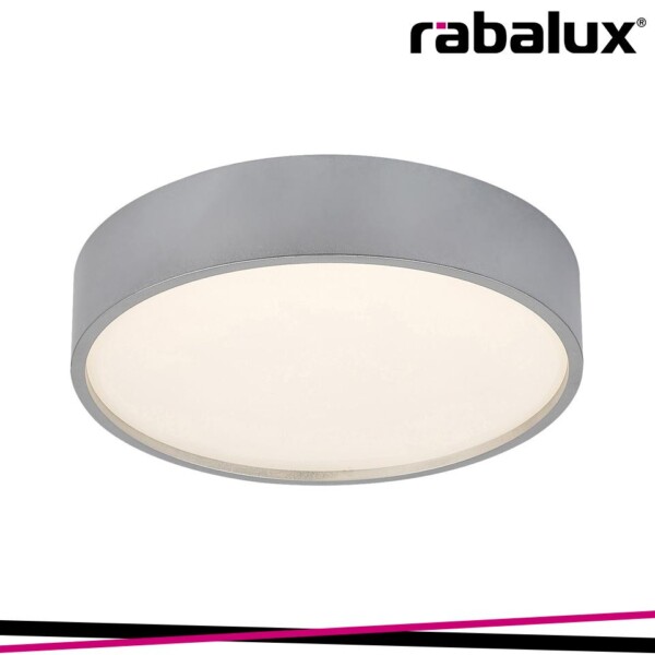 LARCIA, INDOOR CEILING LAMP, SILVER PLASTIC LAMP WITH WHITE